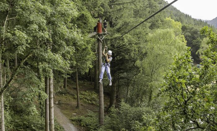 Zip through the trees on Zip Safari